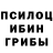 Галлюциногенные грибы Psilocybe Kirill Sennikov
