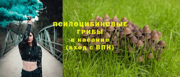 apvp Беломорск