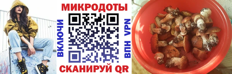 Галлюциногенные грибы Magic Shrooms цена Верея